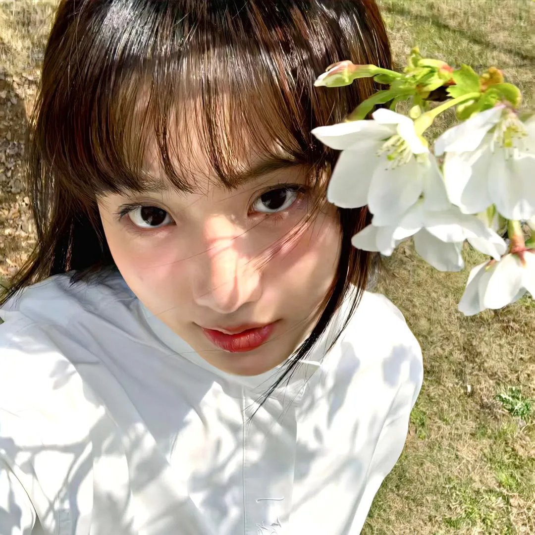 芭蕾彗星尼真斯基