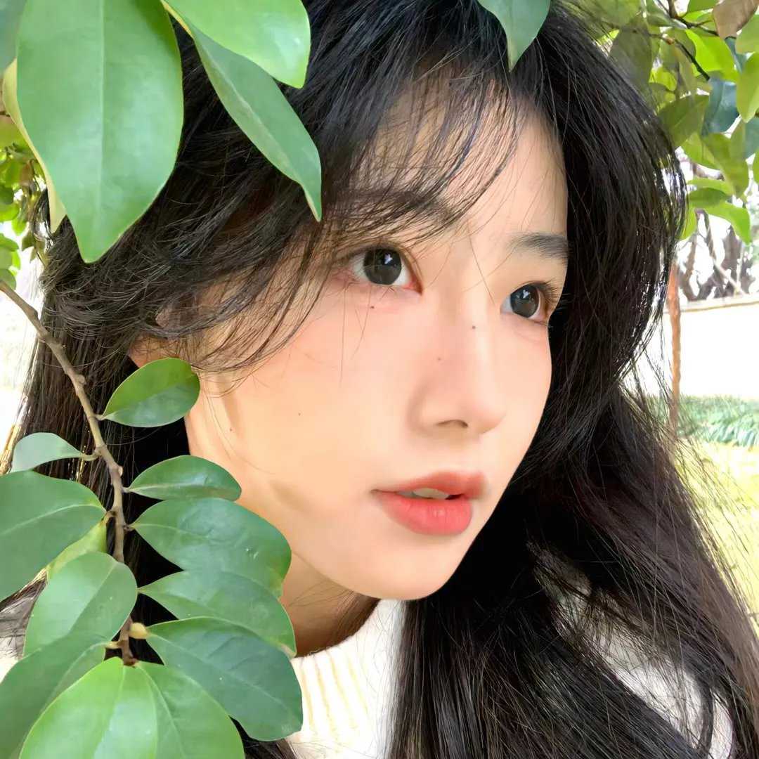 仙城香姬